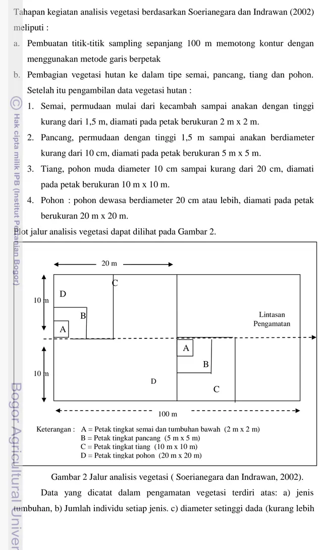 Gambar 2 Jalur analisis vegetasi ( Soerianegara dan Indrawan, 2002). 