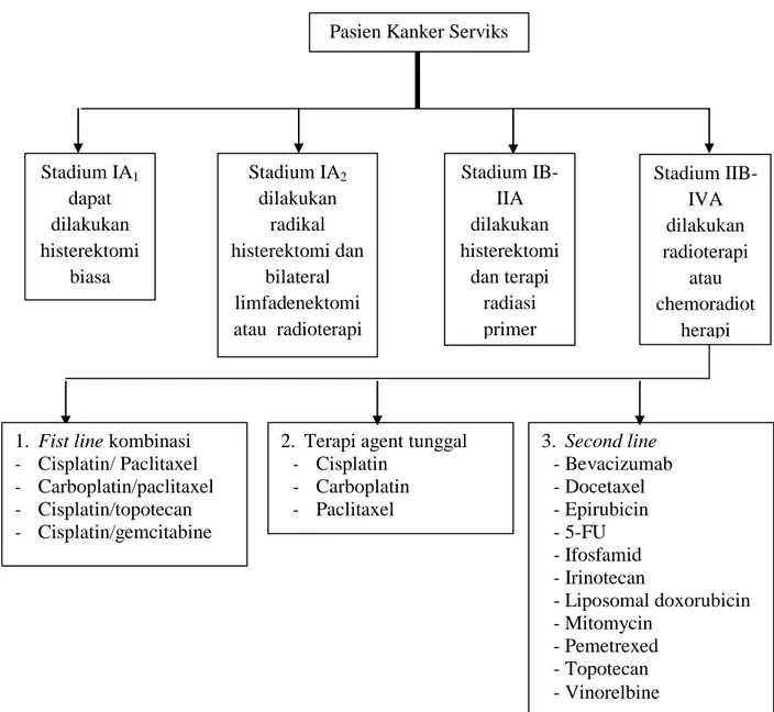 Gambar 2.3. Algoritme Terapi Kanker Serviks (NCCN,  2010). 
