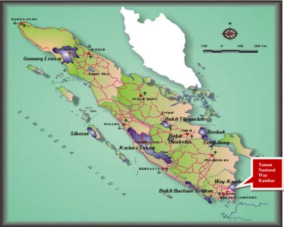 Gambar 3. Lokasi Taman Nasional Way Kambas di Sumatera 