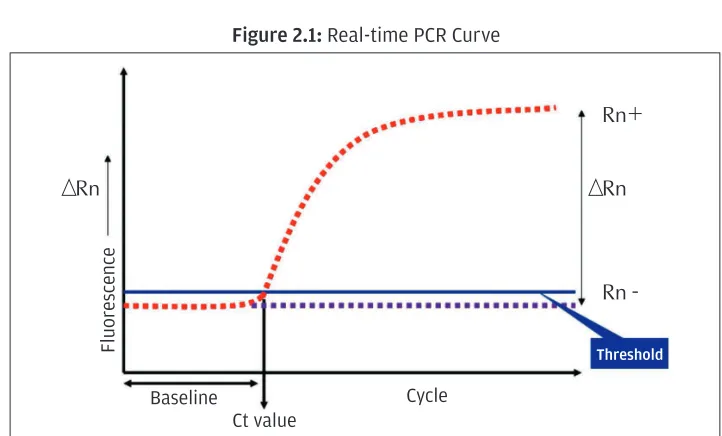 Figure 2.1: Real-time PCR Curve