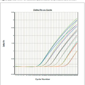 Figure 2.5: Real-time PCR-absolute quantiication ampliication plot (linear)