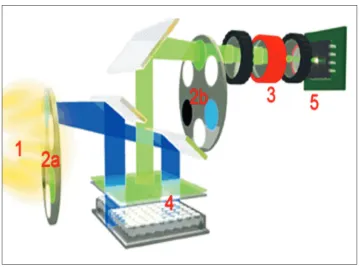 Figure 3.1: Representation of optical detection system layout