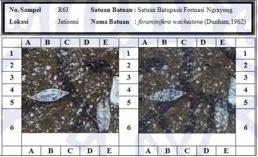 Gambar 4.10.  Sayatan batugamping klastik pada pasir Ngrayong bagian tengah. 