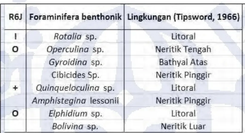 Gambar 4.11.  Kelimpahan foraminifera bentonik pada pasir Ngrayong pada bagian tengah