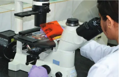figure 3.2: An inverted microscope used to observe cells in a T-25 flask 
