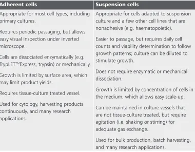 table 4.1: differences between adherent cells and suspension cells