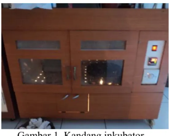 Gambar 1. Kandang inkubator 