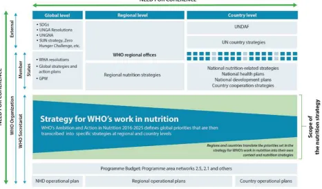 Figure 5. Scope of WHO’s Ambition and Action in Nutrition 2016-2025