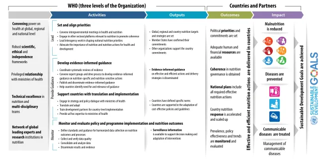 Figure 7. The results chain for WHO’s work in nutrition