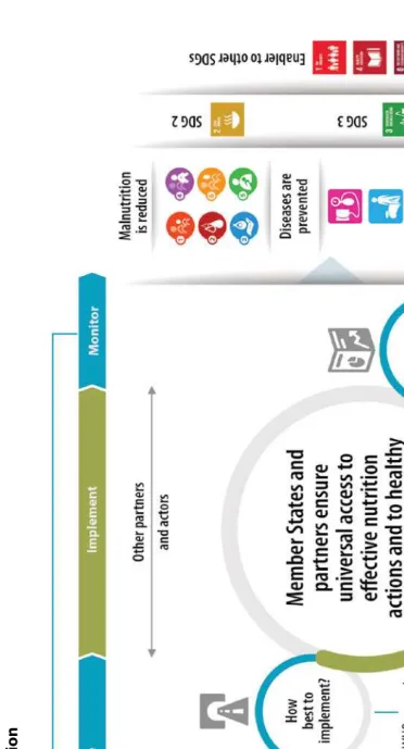 Figure 8. Overview of  WHO’s work in nutrition