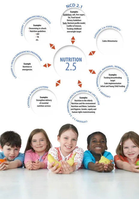 Figure 11. Interactions for nutrition between programme area networks