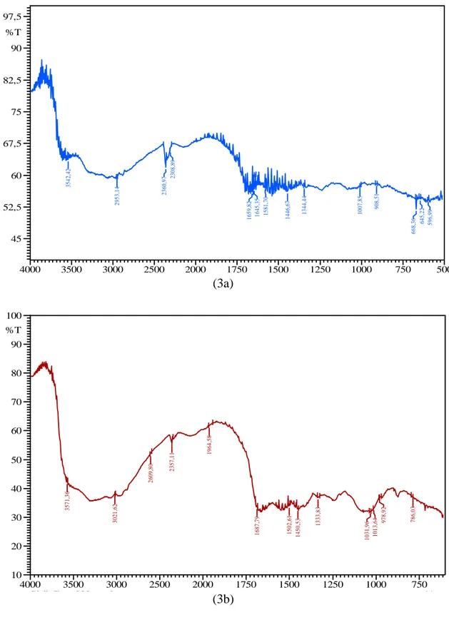 Gambar  3.  Spektrum  FTIR  dari  adsorben  Sisik  ikan  lomak  (Leptobarbus  Hoevanii)    (3a) LSI,1 (100&lt;x&lt;200 mesh)dan  (b) LSI,2 (x≥200 mesh) 