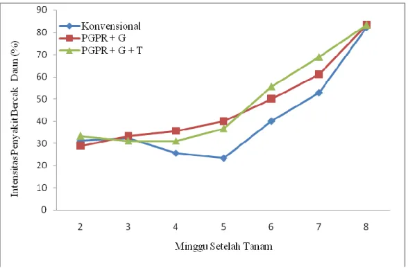 Gambar 3  Pola intensitas penyakit bercak daun pada tanaman tomat  yang diberi  aplikasi  PGPR,  G  (guano),  dan  T  (T