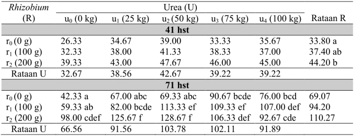 Tabel  3. Jumlah  koloni  Rhizobium  (sel  ml -1 )  dari  rhizofer tanaman  kacang  Nagara  pengaruh  takaran  inokulan Rhizobium indigenous dan takaran pupuk urea
