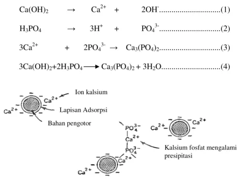 Gambar  2.  Proses  pengikatan  bahan  pengotor  oleh  ion  kalsium  dan  kalsium  fosfat (Chen dan Chou, 1993) 