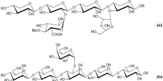 Gambar 3. Struktur xilan (a) dan glukomannan (b) yang merupakan hemiselulosa   dominan pada tumbuhan (Sixta, 2006)