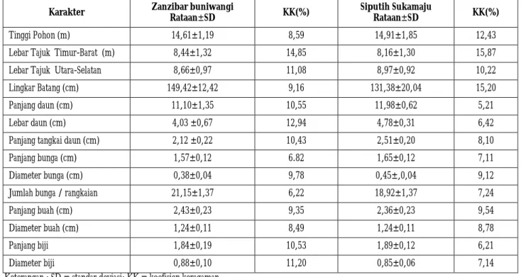 Tabel 2.  Karakteristik kuantitatif morfologi bagian vegetatif dan generatif pohon terpilih dalam populasi Buniwangi (tipe Zanzibar) dan Sukamaju  (tipe Siputih)  tahun 2010 