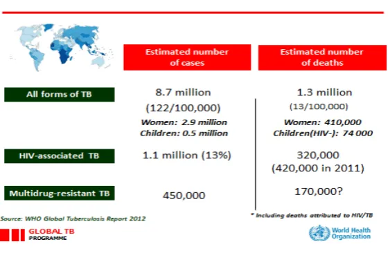 Figure 1: Provisional data for the global burden of TB in 2012 