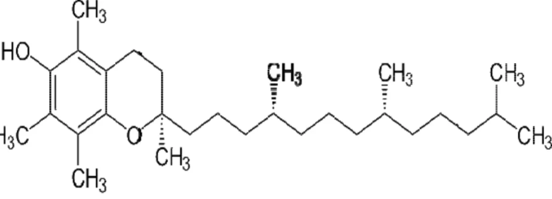 Gambar 2.3 Rumus bangun vitamin E (Silalahi, 2006).  2.5.5 Polifenol 