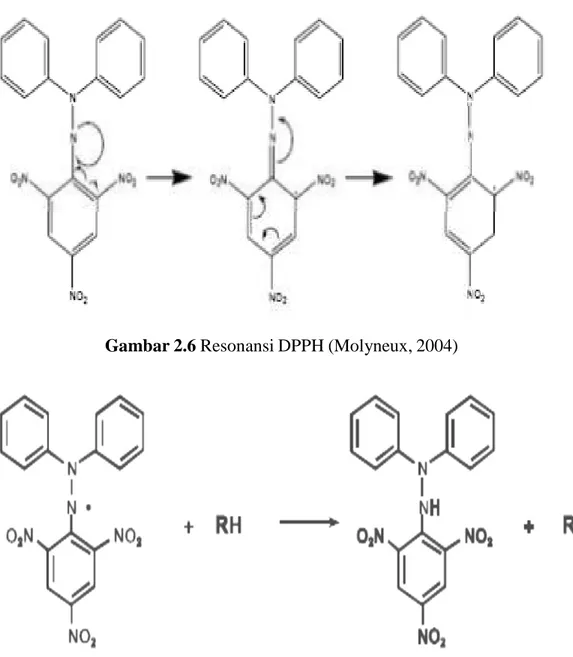Gambar  2.7  Reaksi  antara  DPPH  dengan  atom  H  netral  yang  berasal  dari  antioksidan (Molyneux, 2004)