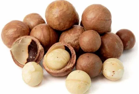 Gambar 6. Kacang Macadamia 