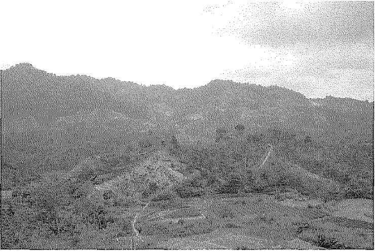 Gambar 2. Beberapa tipe penutupan lahan yang dominan di Kecamatan Sumberjaya 