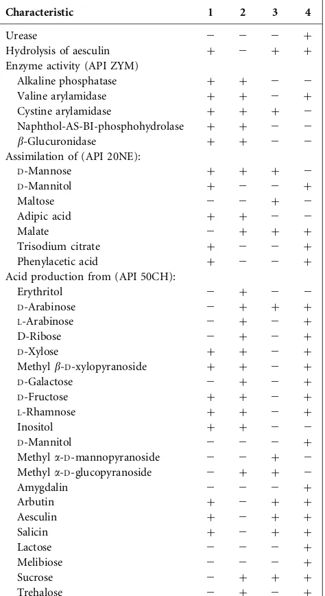 Table 1. Differential characteristics of strains DCY60DCY90T andT and type strains of other related species of thegenus Humibacter
