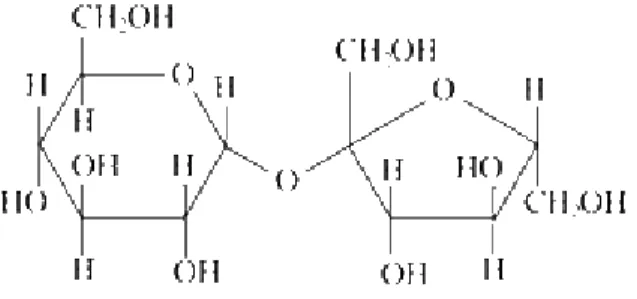 Gambar 1. Struktur molekul sukrosa (www.sucrose.com). 