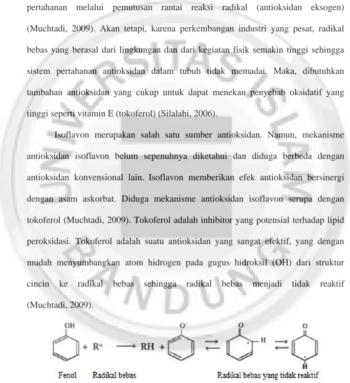 Gambar I.2. Mekanisme kerja antioksidan dari turunan fenol; flavonoid, vitamin E (Silalahi, 2006)
