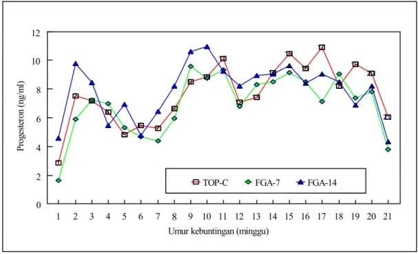 Grafik 1 adalah kadar pogesteron ternak bunting yang  berarti korpus luteumnya berkembang baik dalam  menjaga kebuntingan