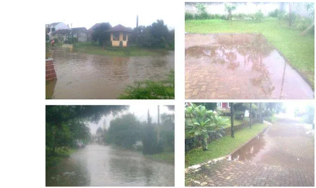 Gambar 1  Genangan air pasca hujan di TSP, Kota Bogor 