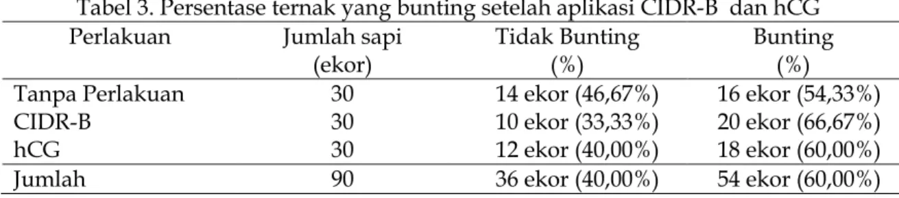 Tabel 3. Persentase ternak yang bunting setelah aplikasi CIDR-B  dan hCG  Perlakuan  Jumlah sapi 