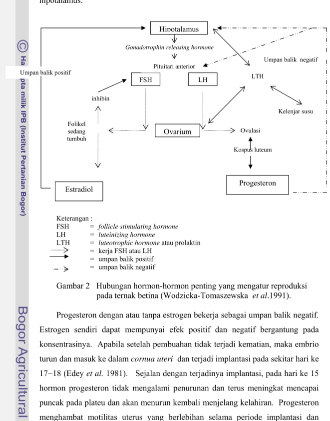 Gambar 2   Hubungan hormon-hormon penting yang mengatur reproduksi                       pada ternak betina (Wodzicka-Tomaszewska  et al.1991)