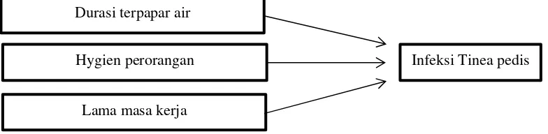 Gambar 4. Kerangka Konsep 