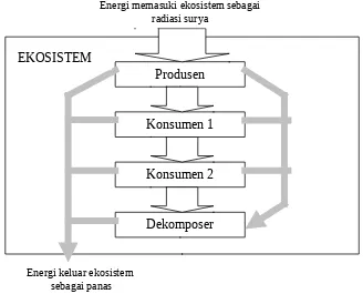 Gambar 1. Aliran Energi dalam Ekosistem melalui Sistem Trofi