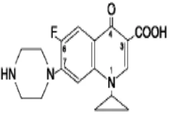 Gambar 2. Struktur kimia siprofloksasin12 