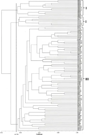 Figure 7. Dendrogram of B. angulatacoefficient and UPGMA method. ENT. Entikong, NGA. Ngabang, SAR