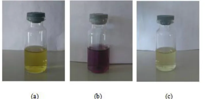 Gambar 1. Perubahan warna DPPH awal (b) dan sampel (a) sebelum reaksi dan setelah DPPH dan sampel  direaksikan (c) 