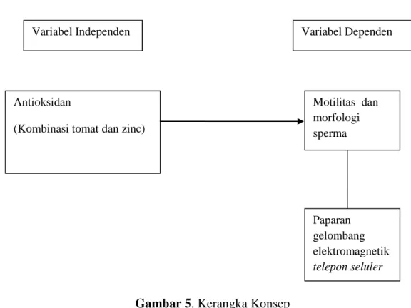 Gambar 5. Kerangka Konsep 