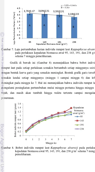 Gambar 7. Laju pertumbuhan harian individu rumput laut Kappaphycus alvarezii 