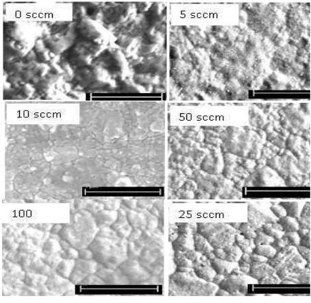 Figure 5 SEM images of thin copper film at 450 oC for 1 hour under different flow rates of hydrogen gas (scale bar: 1 µm)