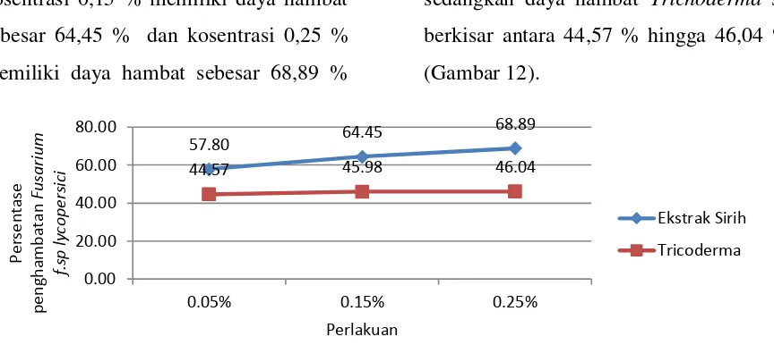 Gambar 12. Perbandingan Daya Hambat Ekstrak Daun Sirih (0,05%, 0,25, 0,25%) dan Cendawan Trichoderma sp