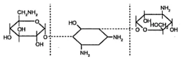 Gambar 1. Struktur kimia kanamisin18 