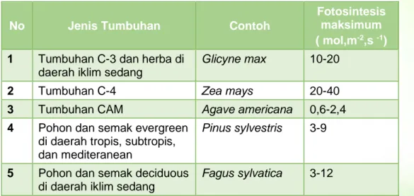 Tabel  2. Laju fotosintesis maksimum untuk jenis tumbuhan utama   pada kondisi optimal 
