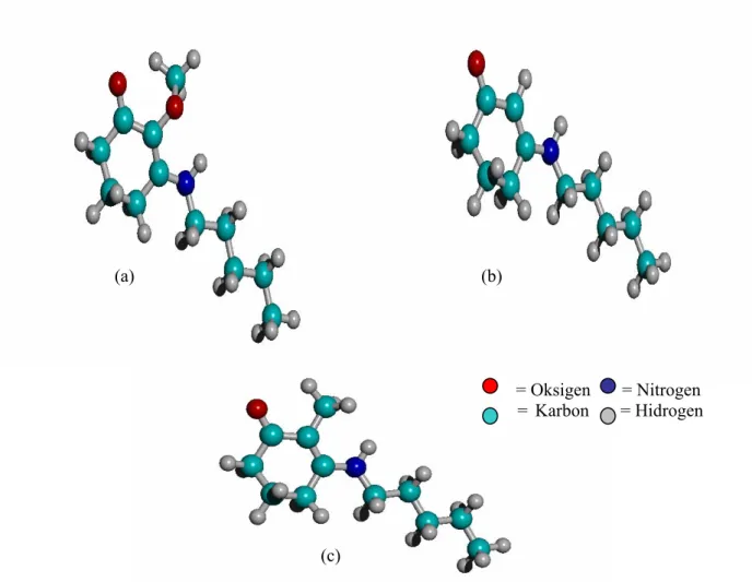 Gambar 3 Struktur geometri teroptimasi hasil Hyperchem senyawa turunan MAAs-glycine pada variasi  panjang R = C 5 H 12