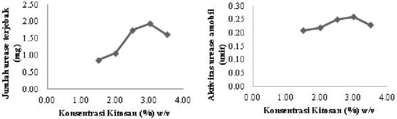 Gambar 1.  (a) Pengaruh konsentrasi kitosan terhadap jumlah urease yang terjebak tiap 0,5  gram manik kitosan-polietilen glikol (b) Pengaruh konsentrasi kitosan terhadap aktivitas  urease amobil pada manik kitosan-polietilen glikol