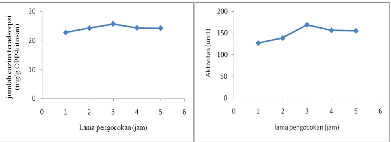 Gambar 1. (a) Hubungan antara lama pengocokan terhadap jumlah pektinase teradsorpsi (b)  Hubungan antara lama pengocokan terhadap aktivitas pektinase amobil