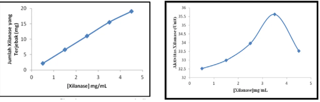 Gambar  2. (a) Grafik hubungan antara konsentrasi xilanase terhadap jumlah xilanase yang  terjebak (b) Grafik hubungan antara konsentrasi xilanase terhadap aktivitas xilanase amobil  