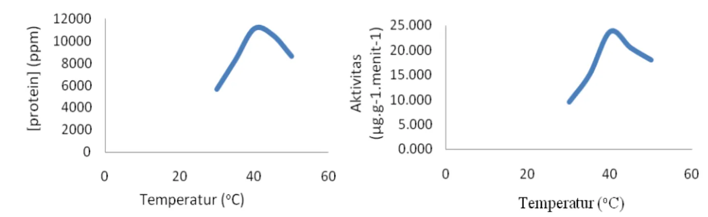 Gambar 2. Grafik kadar protein dan aktivitas pektinase hasil fermentasi pada variasi temperatur 