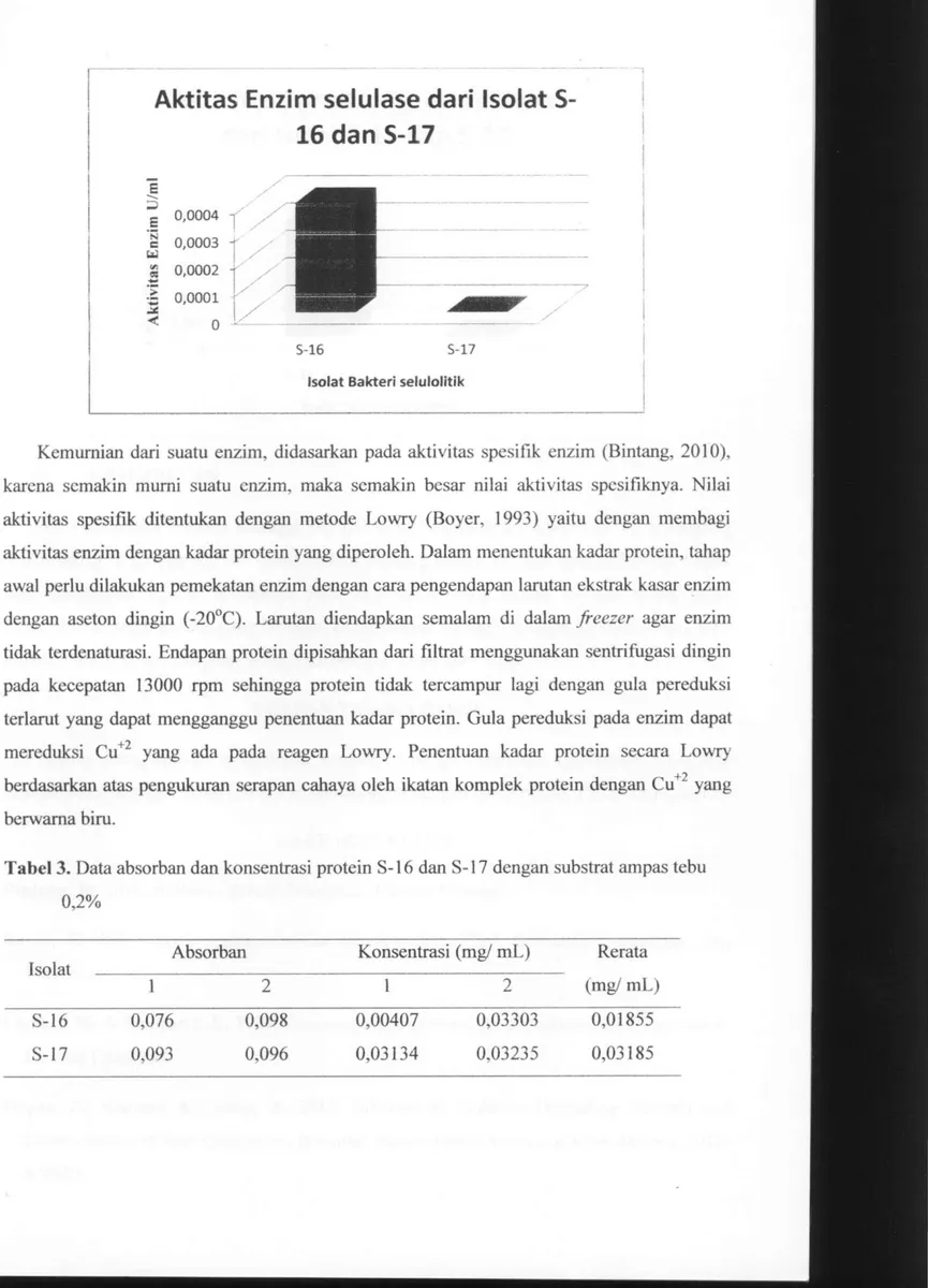 Tabel 3. Data absorban dan konsentrasi protein S-16 dan S-17 dengan substrat ampas tebu  0,2% 